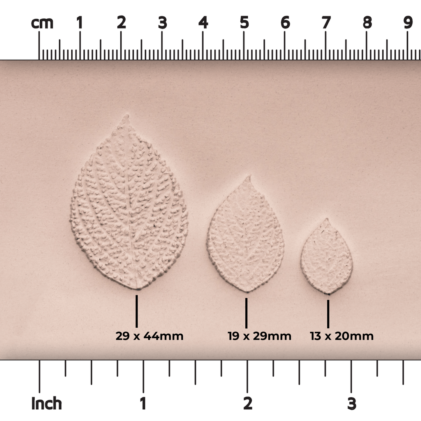 Generic Plant Leaf Stamp - Photo Textured - Style #2