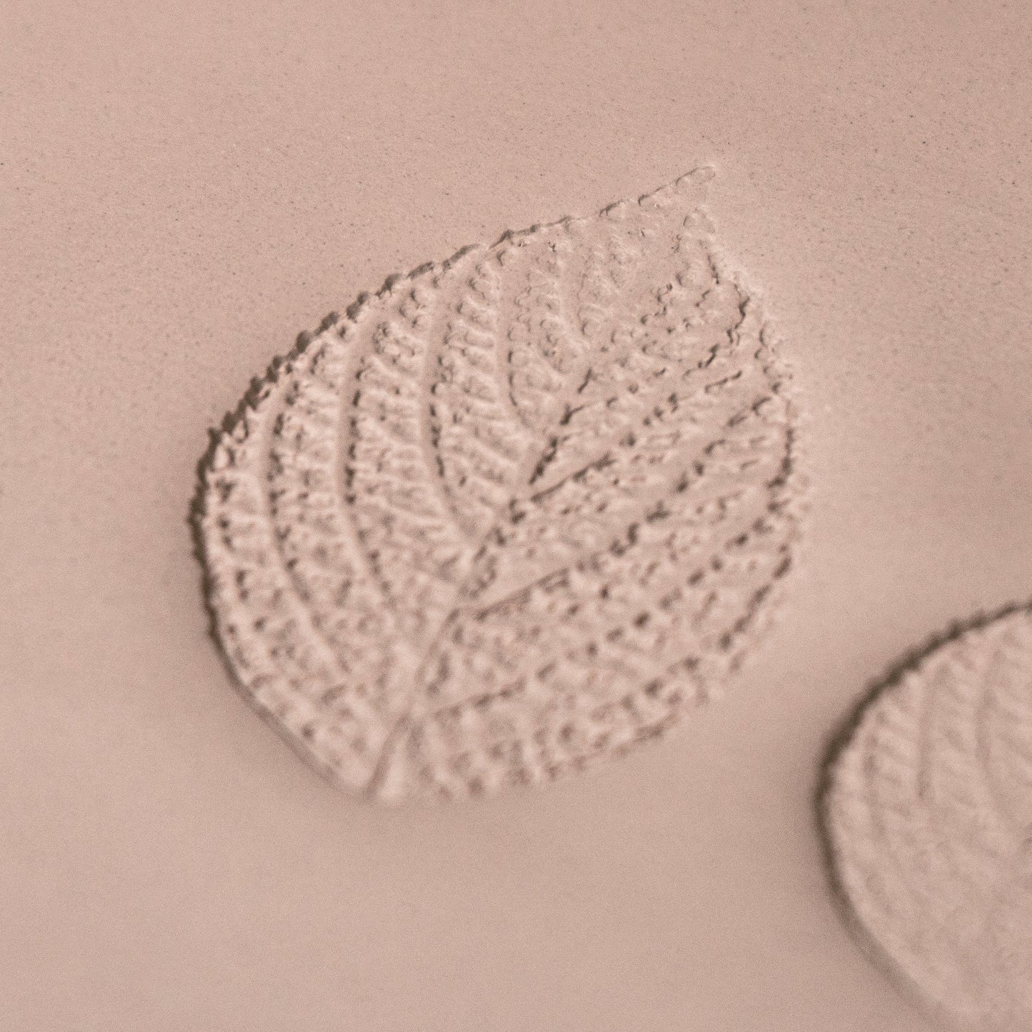 Generic Plant Leaf Stamp - Photo Textured - Style #2