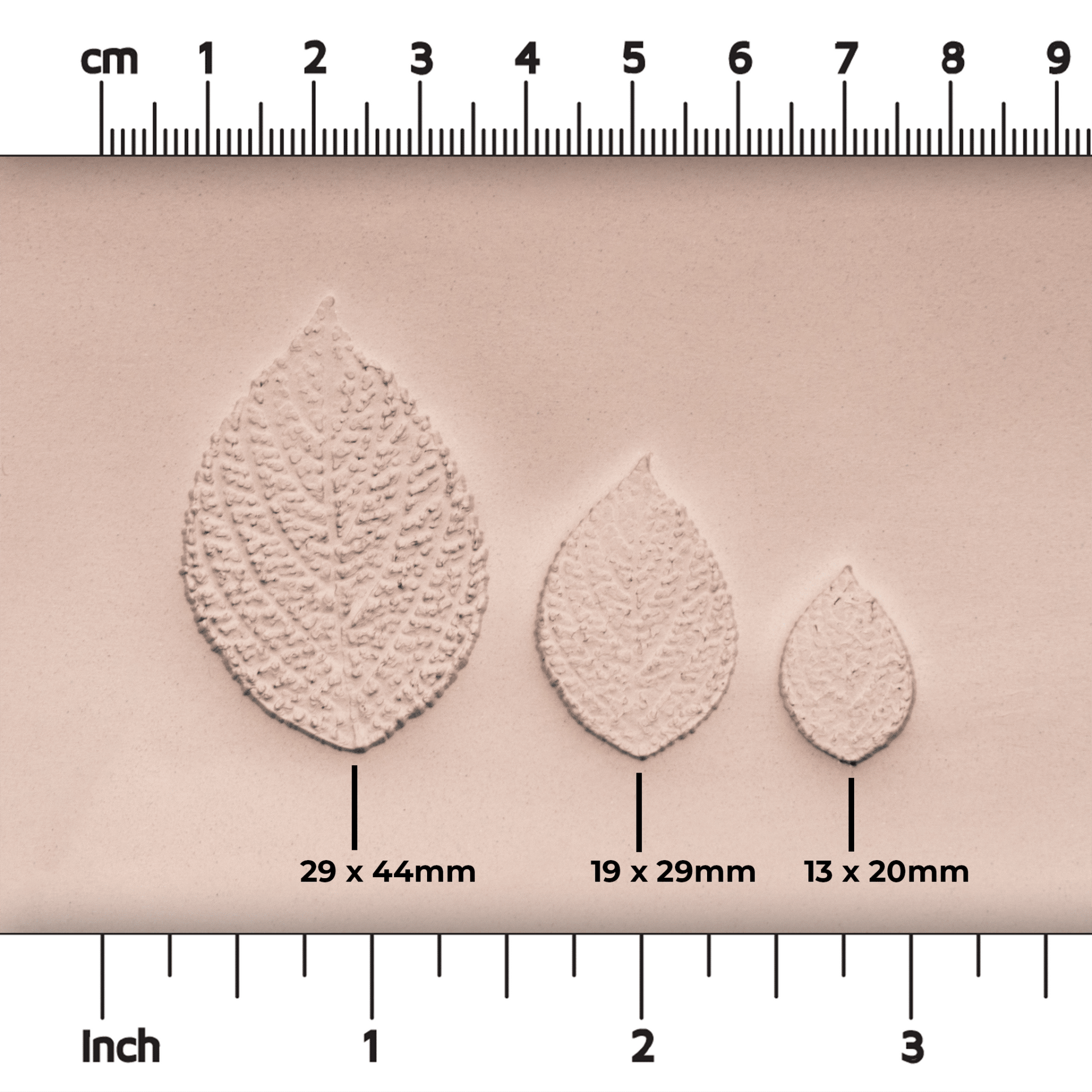 Generic Plant Leaf Stamp - Photo Textured - Style 2 - CraftSource Market: Craft Supplies & Kits Stamps