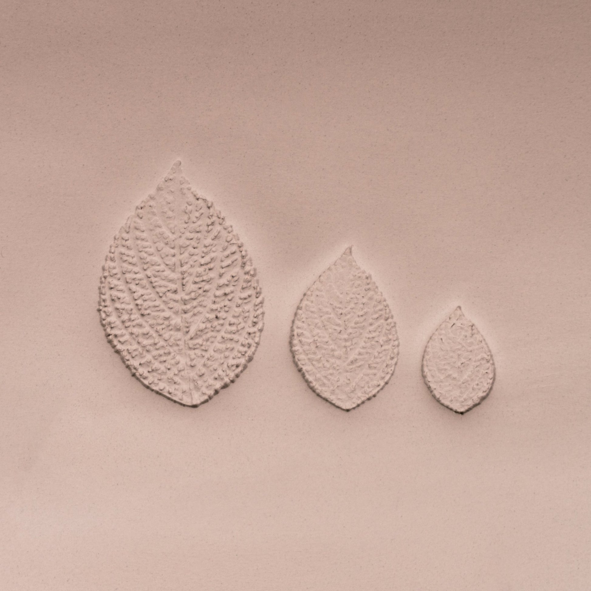Generic Plant Leaf Stamp - Photo Textured - Style 2 - CraftSource Market: Craft Supplies & Kits Stamps