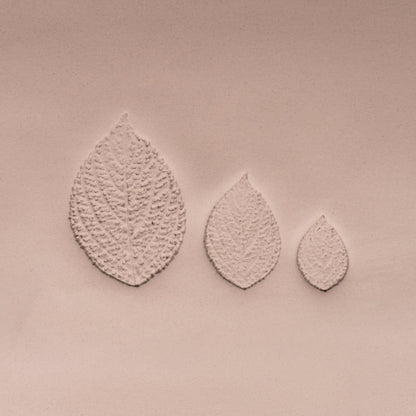 Generic Plant Leaf Stamp - Photo Textured - Style 2 - CraftSource Market: Craft Supplies & Kits Stamps