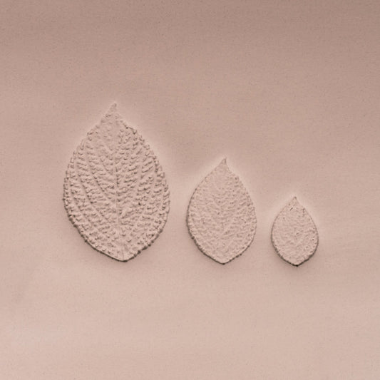 Generic Plant Leaf Stamp - Photo Textured - Style 2 - CraftSource Market: Craft Supplies & Kits Stamps