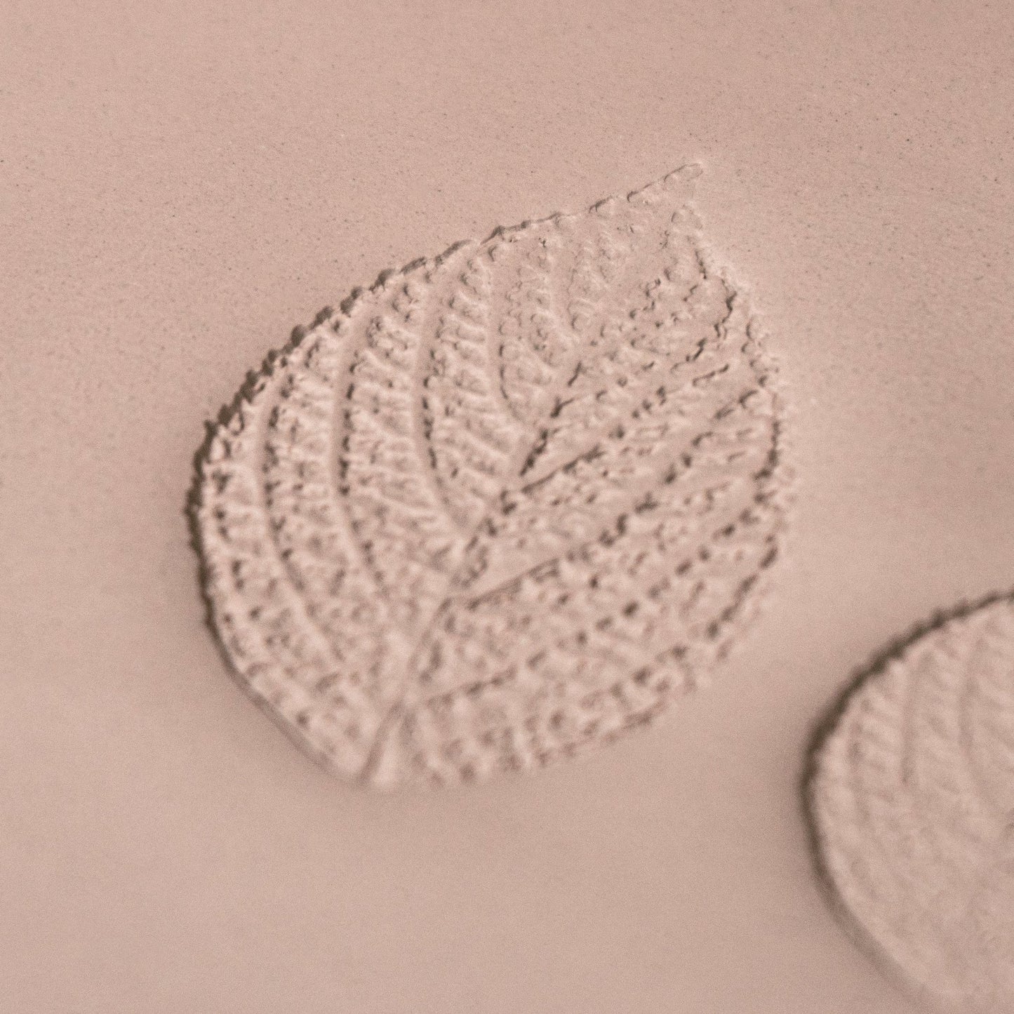 Generic Plant Leaf Stamp - Photo Textured - Style 2 - CraftSource Market: Craft Supplies & Kits Stamps