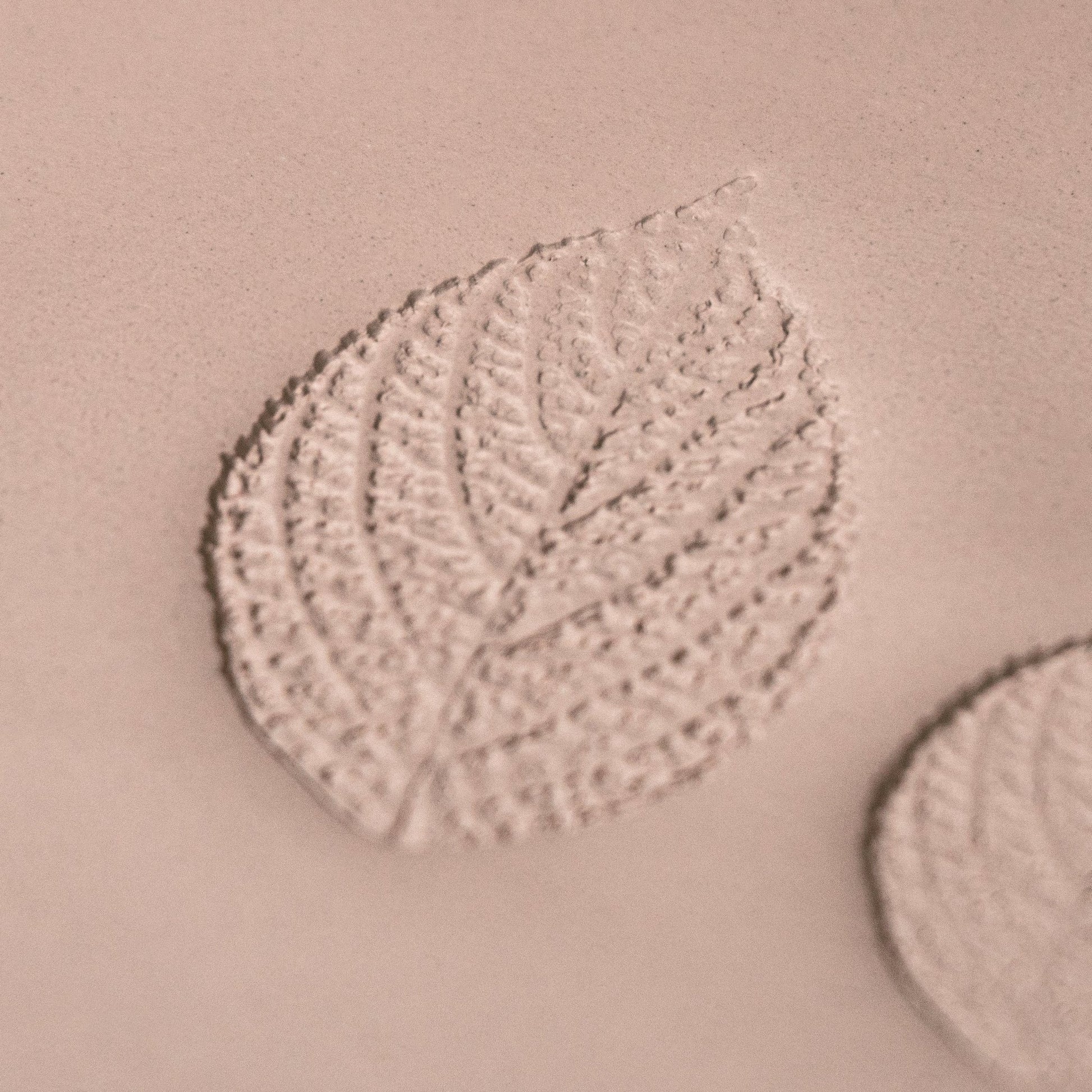 Generic Plant Leaf Stamp - Photo Textured - Style 2 - CraftSource Market: Craft Supplies & Kits Stamps