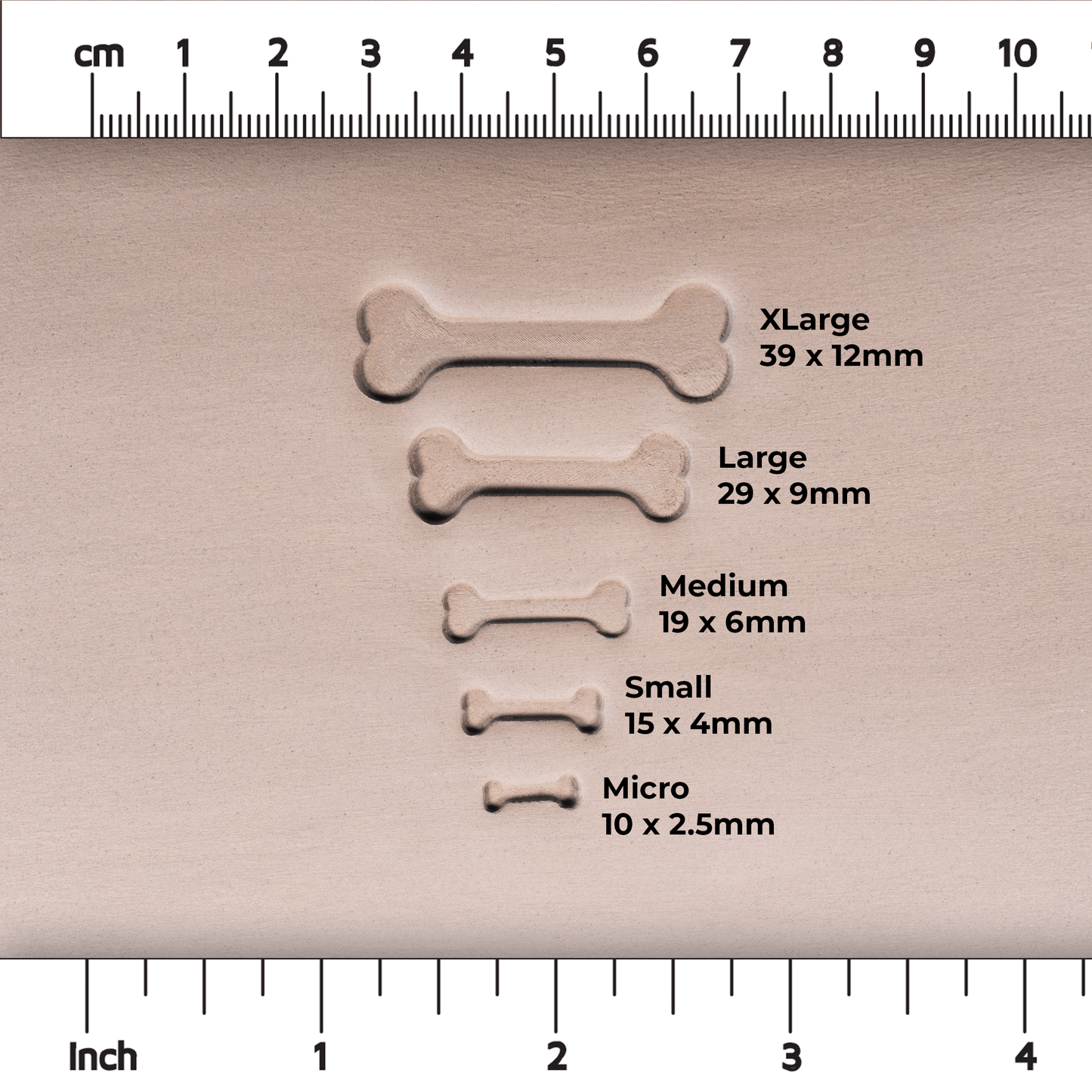 Halloween Bone Stamps