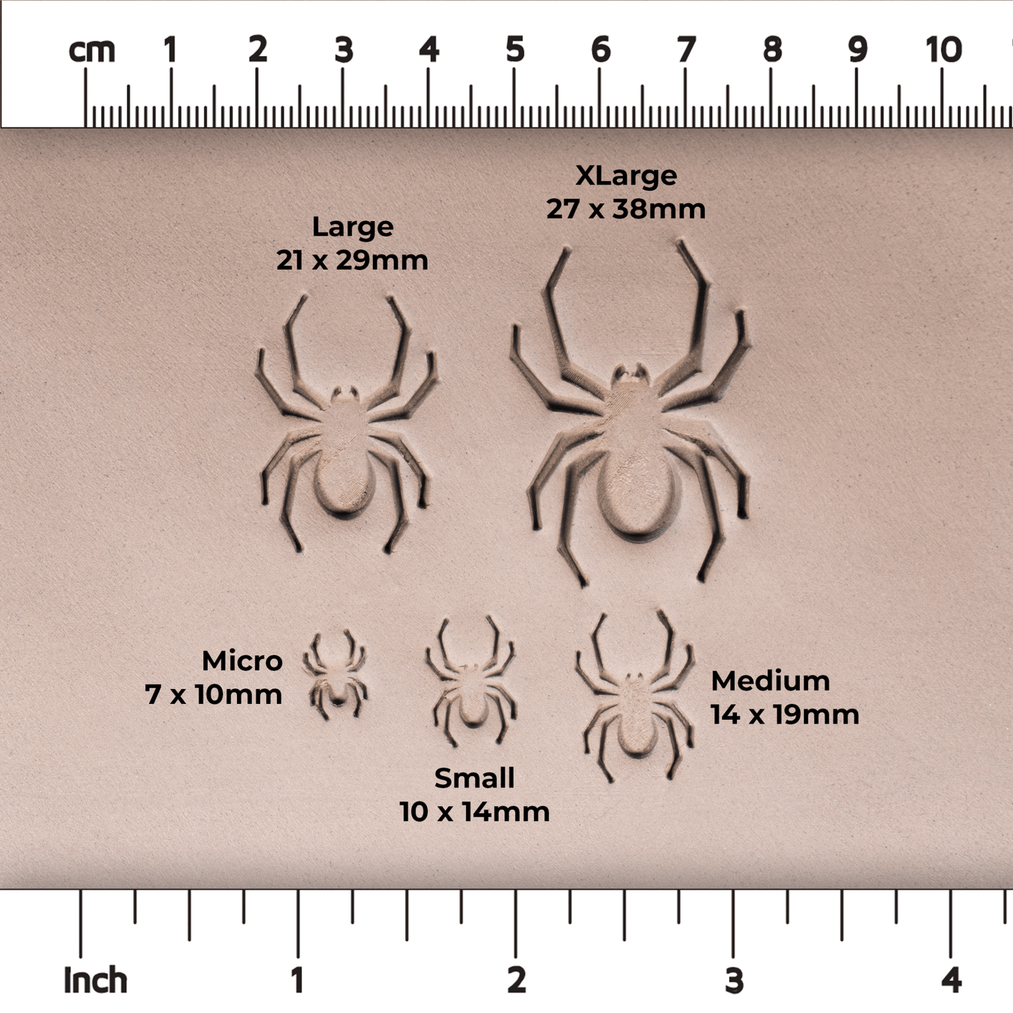 Halloween Spider Stamps - CraftSource Market: Craft Supplies & Kits Stamps