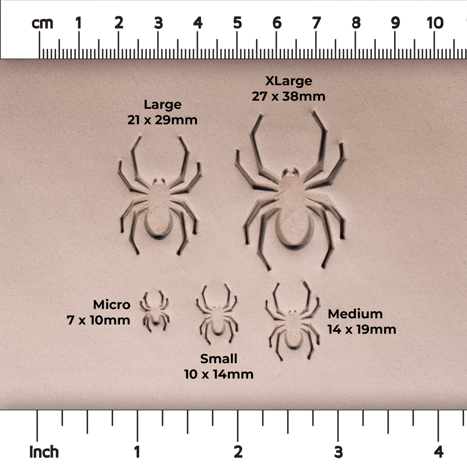 Halloween Spider Stamps - CraftSource Market: Craft Supplies & Kits Stamps