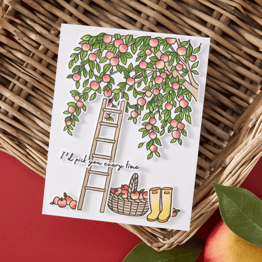 Hero Arts In The Orchard Stamp & Die + Stencil Bundle | I Pick You Collection - CraftSource Market: Craft Supplies & Kits Stamps