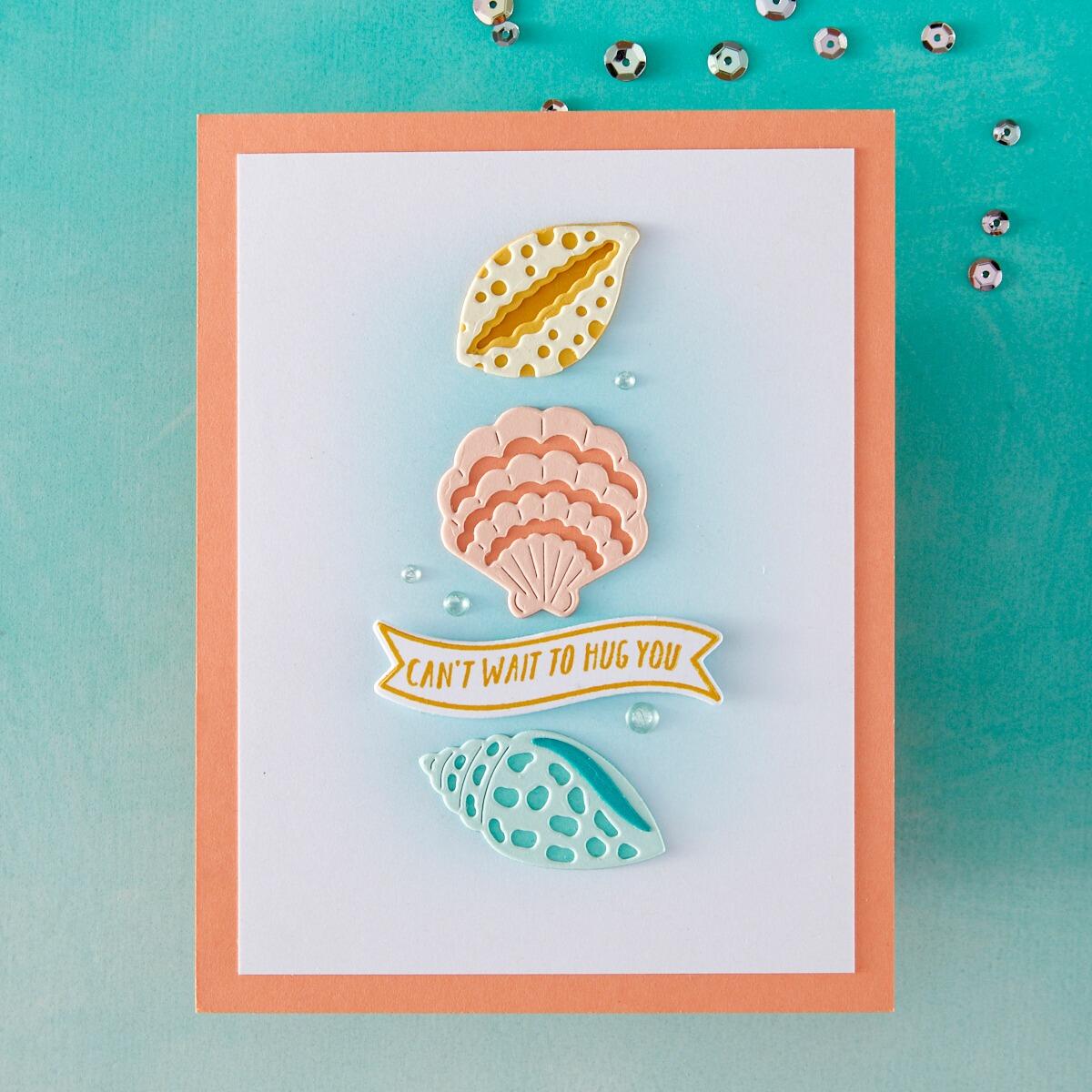Hero Arts Sophisticated Shells Etched Dies from the Summer by The Shore Collection - CraftSource Market: Craft Supplies & Kits Papercraft > Dies > Metal Cutting Dies