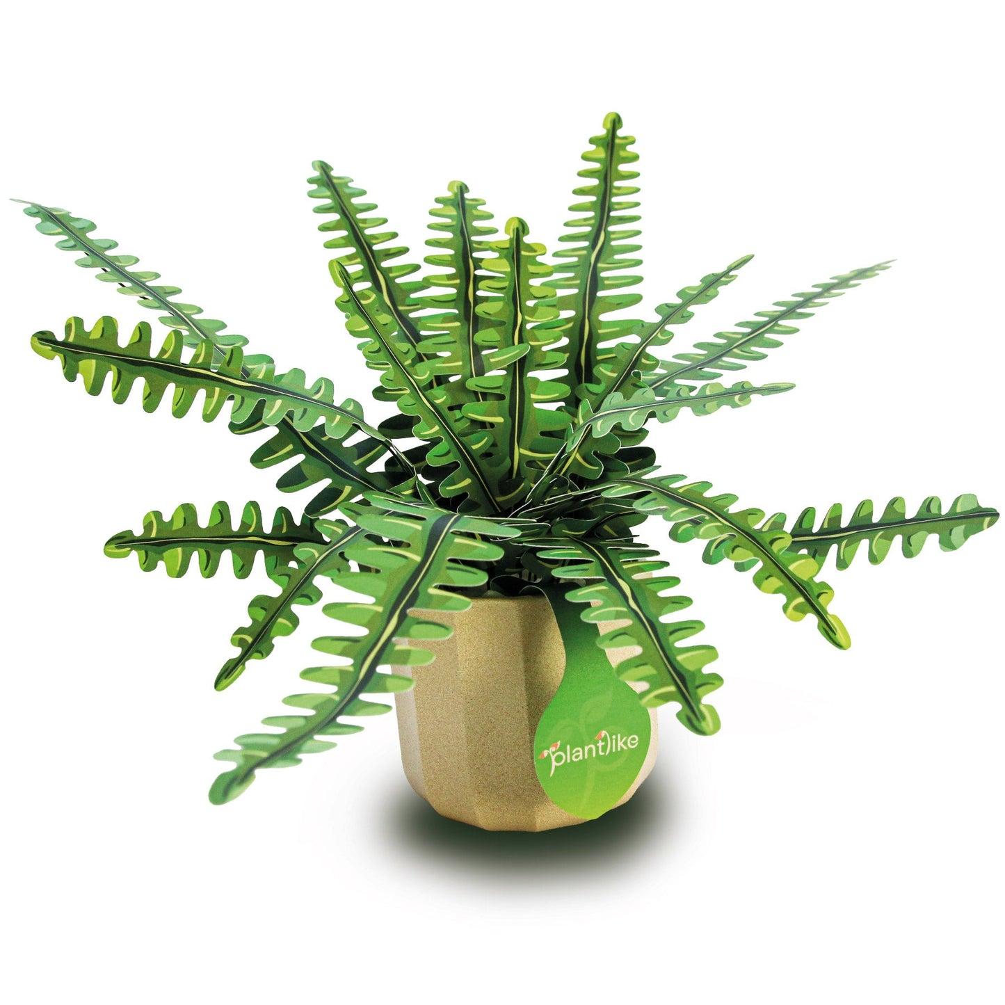 The Boston Fern Papercraft Plant Kit