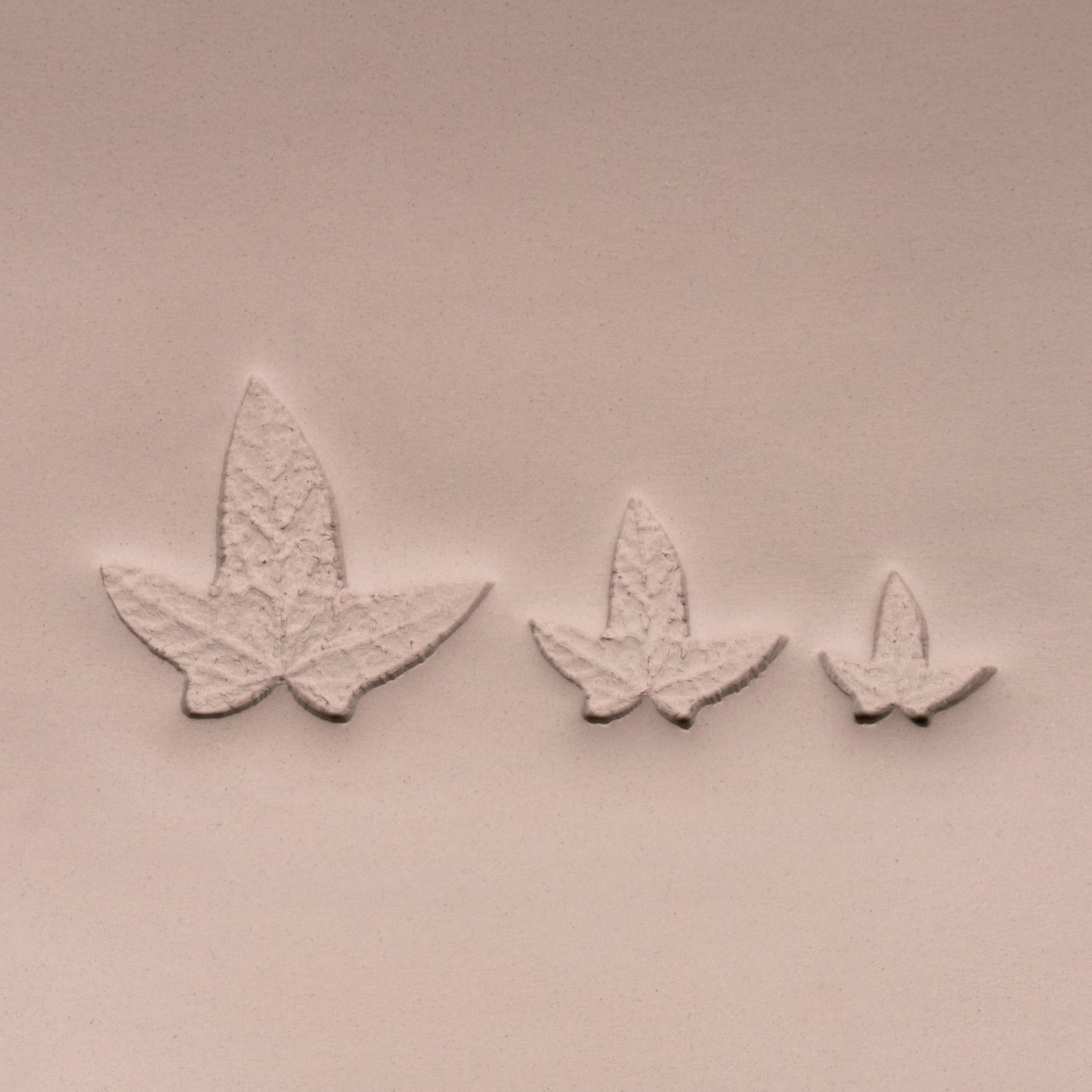 Ivy Leaf Stamp - Photo Textured - Style 3 - CraftSource Market: Craft Supplies & Kits Stamps