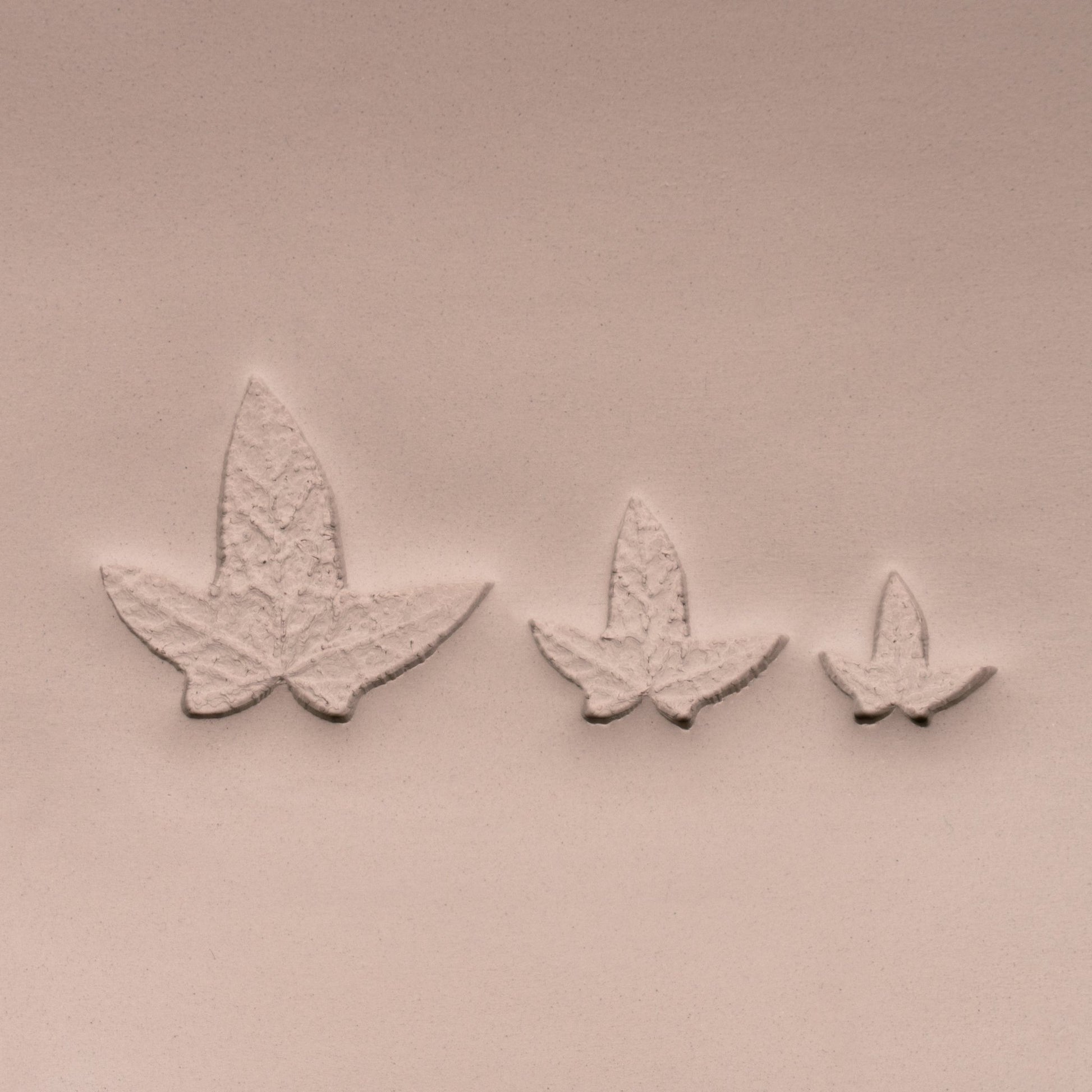 Ivy Leaf Stamp - Photo Textured - Style 3 - CraftSource Market: Craft Supplies & Kits Stamps
