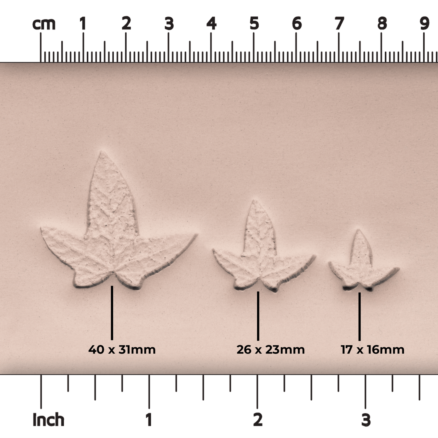 Ivy Leaf Stamp - Photo Textured - Style 3 - CraftSource Market: Craft Supplies & Kits Stamps
