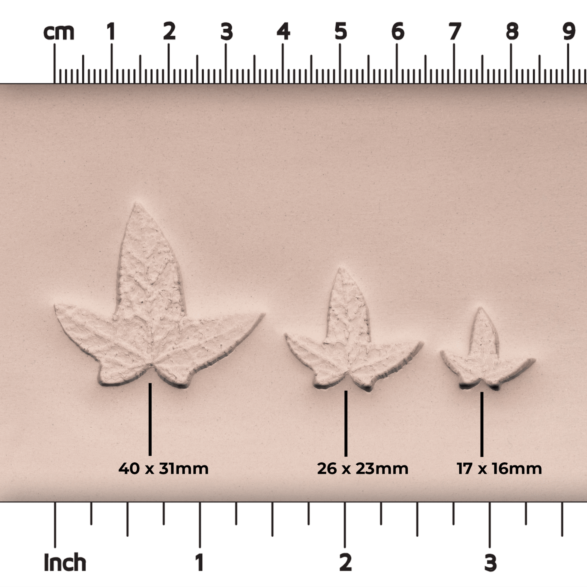 Ivy Leaf Stamp - Photo Textured - Style 3 - CraftSource Market: Craft Supplies & Kits Stamps