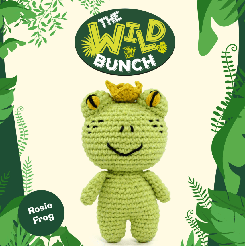 Knitty Critters The Wild Bunch - Rosie Frog - CraftSource Market: Craft Supplies & Kits Crochet
