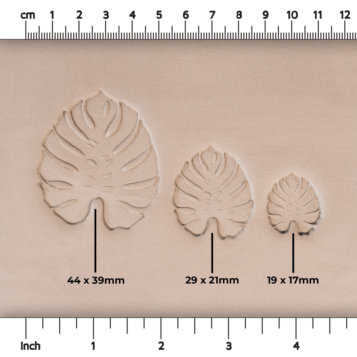 Monstera Leaf Stamps - 3 Styles & Sizes
