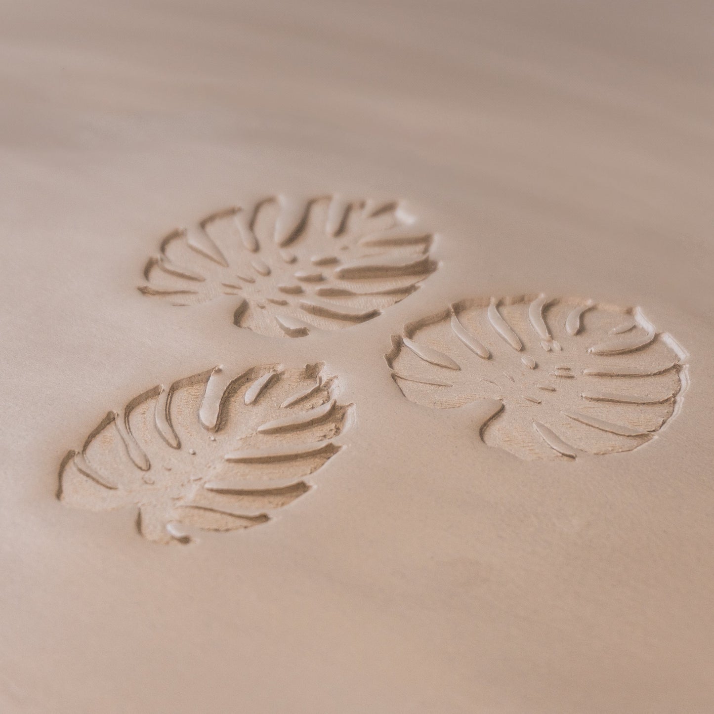 Monstera Leaf Stamps - 3 Styles & Sizes