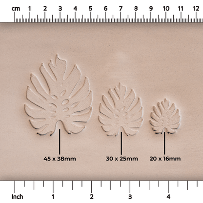 Monstera Leaf Stamps - 3 Styles & Sizes