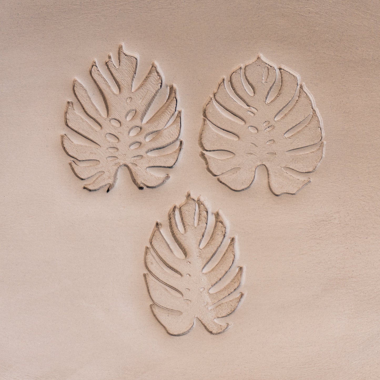Monstera Leaf Stamps - 3 Styles & Sizes