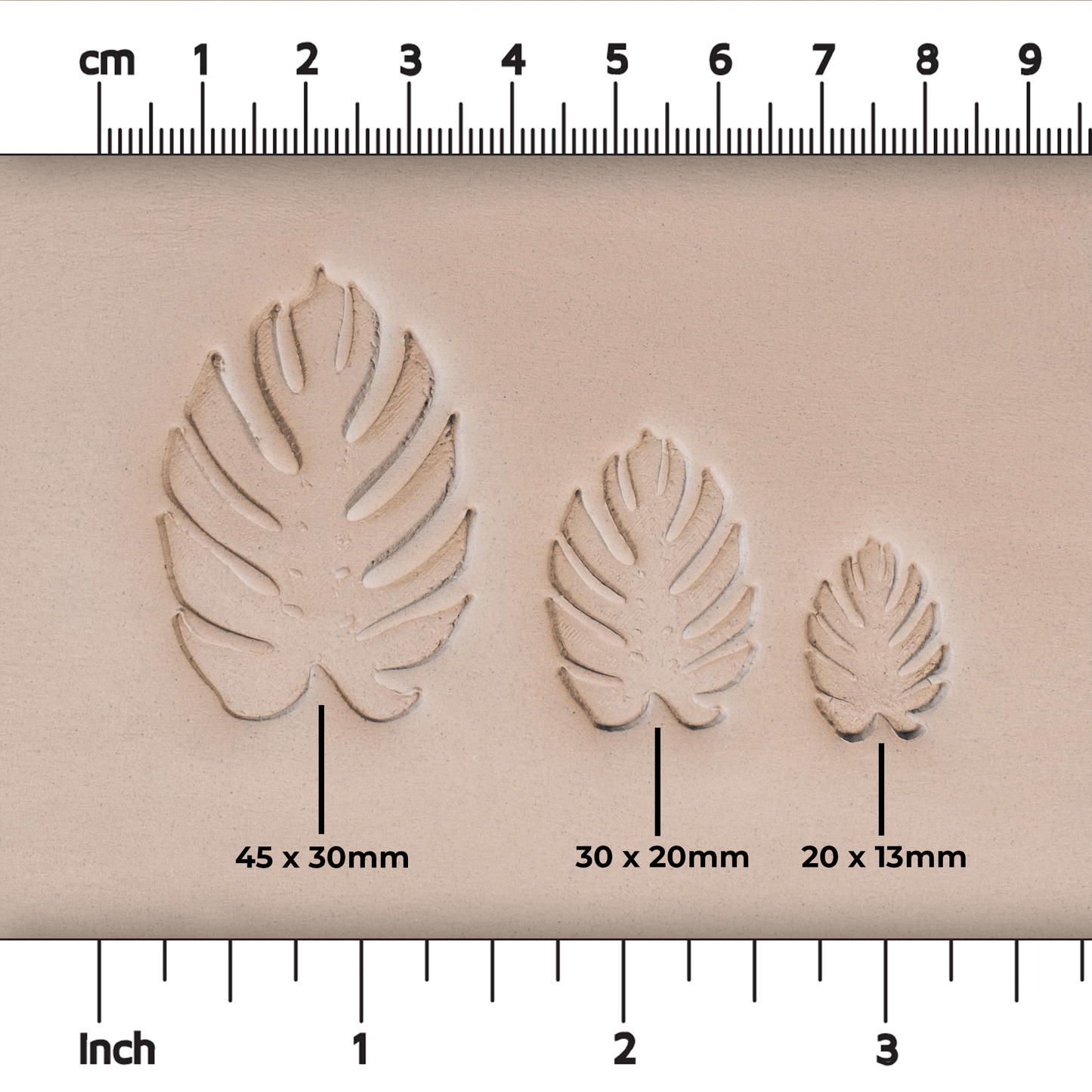 Monstera Leaf Stamps - 3 Styles & Sizes