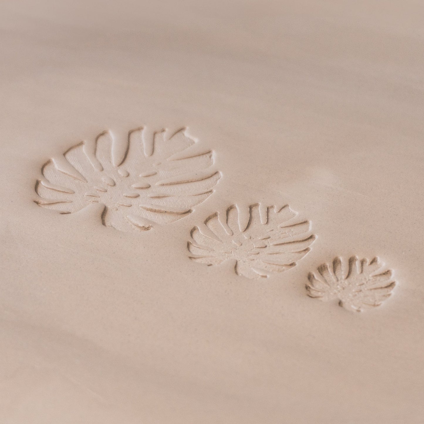 Monstera Leaf Stamps - 3 Styles & Sizes
