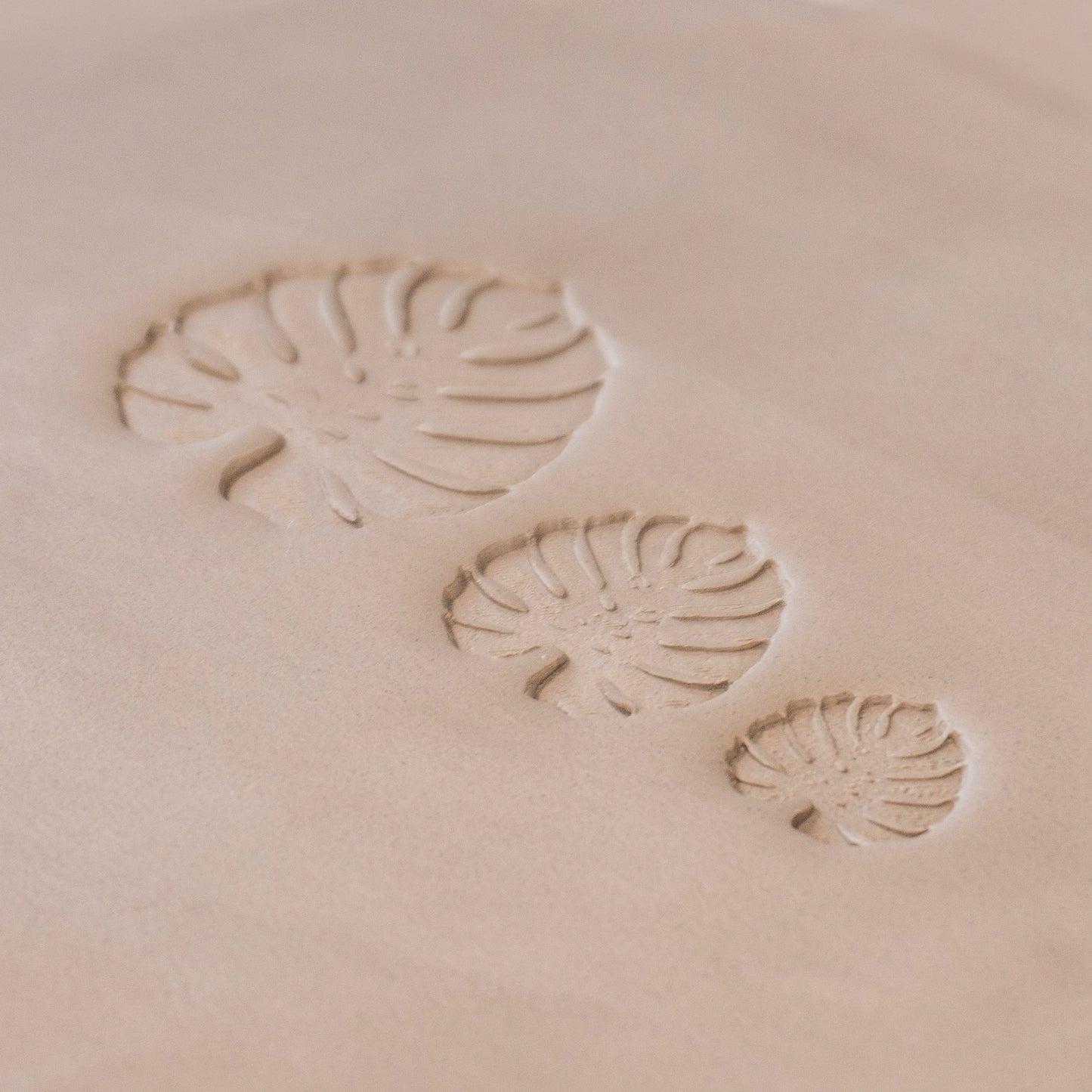 Monstera Leaf Stamps - 3 Styles & Sizes