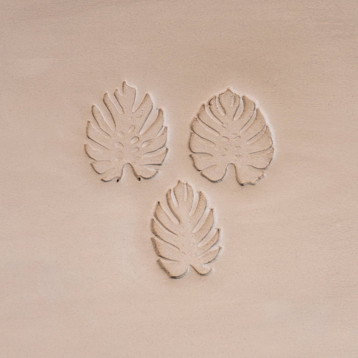 Monstera Leaf Stamps - 3 Styles & Sizes - CraftSource Market: Craft Supplies & Kits Stamps