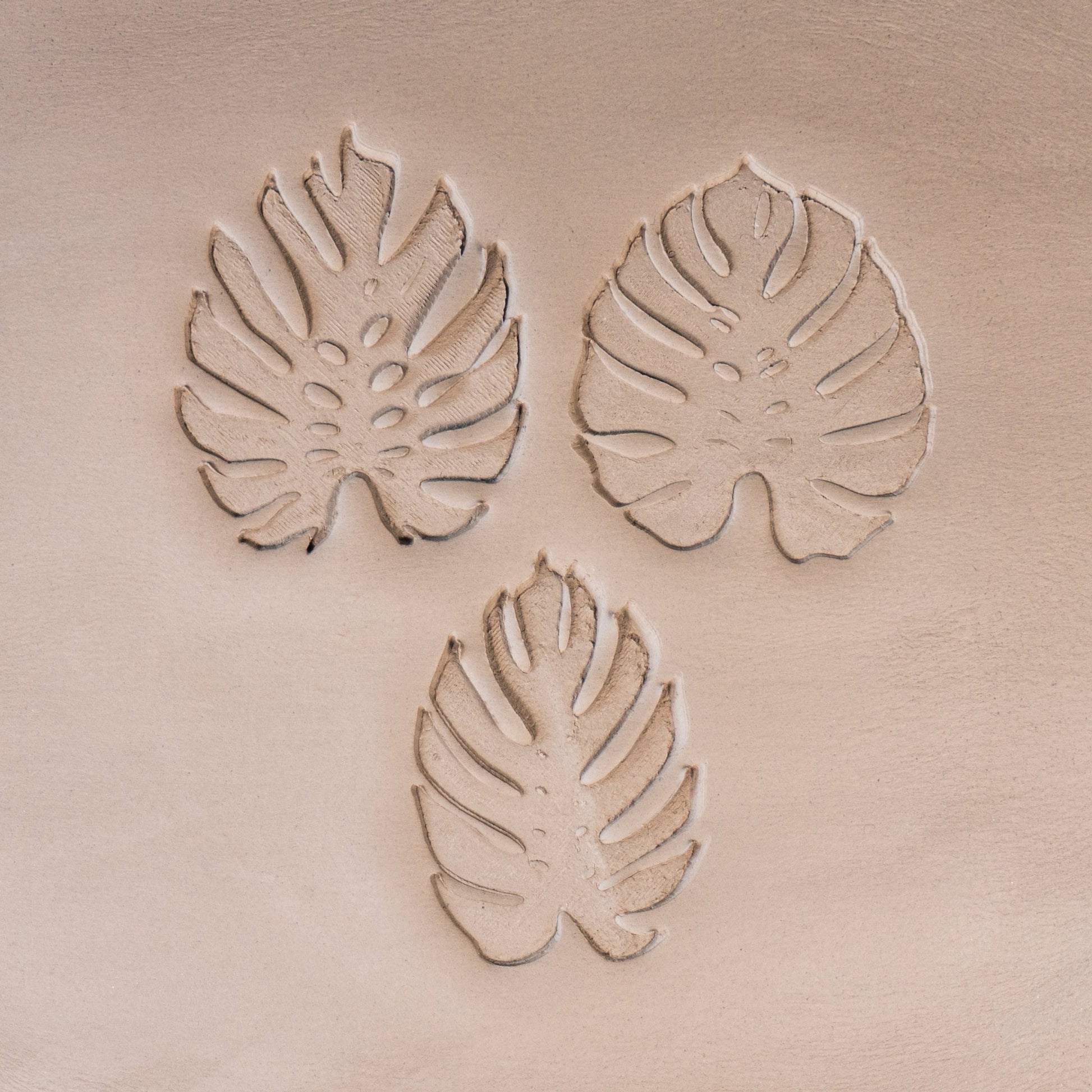 Monstera Leaf Stamps - 3 Styles & Sizes - CraftSource Market: Craft Supplies & Kits Stamps
