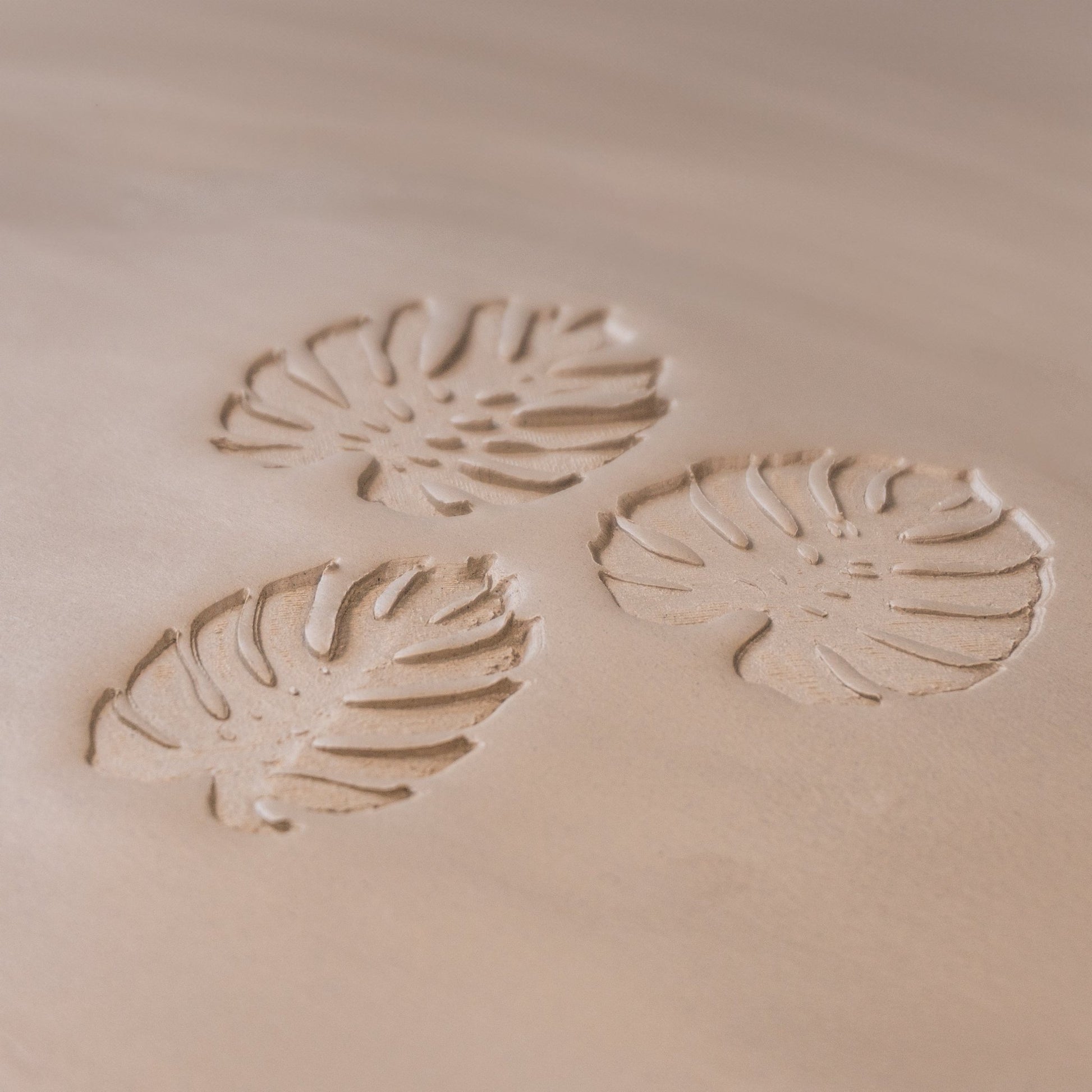 Monstera Leaf Stamps - 3 Styles & Sizes - CraftSource Market: Craft Supplies & Kits Stamps