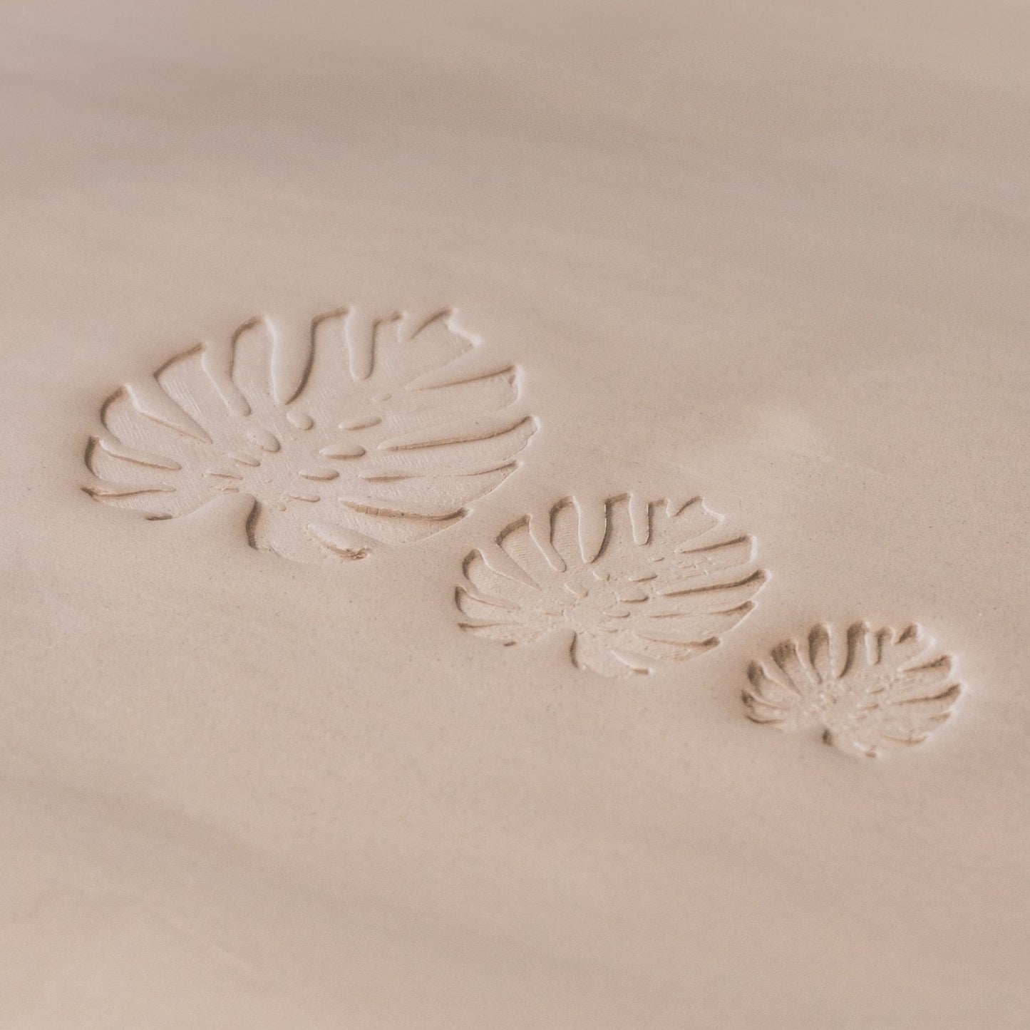Monstera Leaf Stamps - 3 Styles & Sizes - CraftSource Market: Craft Supplies & Kits Stamps