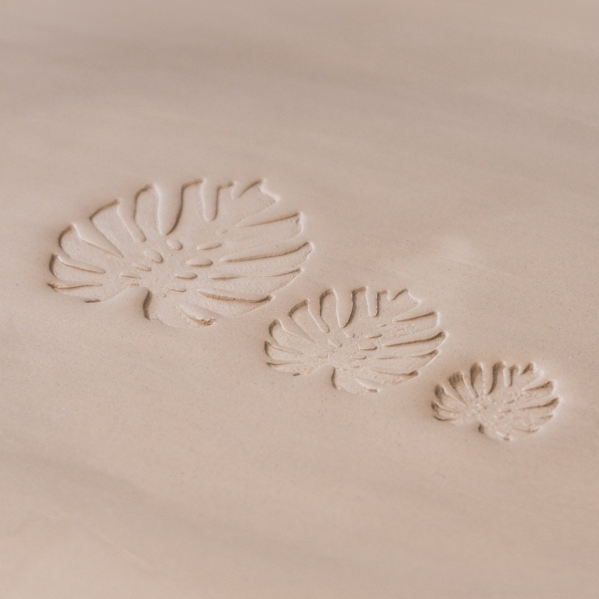 Monstera Leaf Stamps - 3 Styles & Sizes - CraftSource Market: Craft Supplies & Kits Stamps