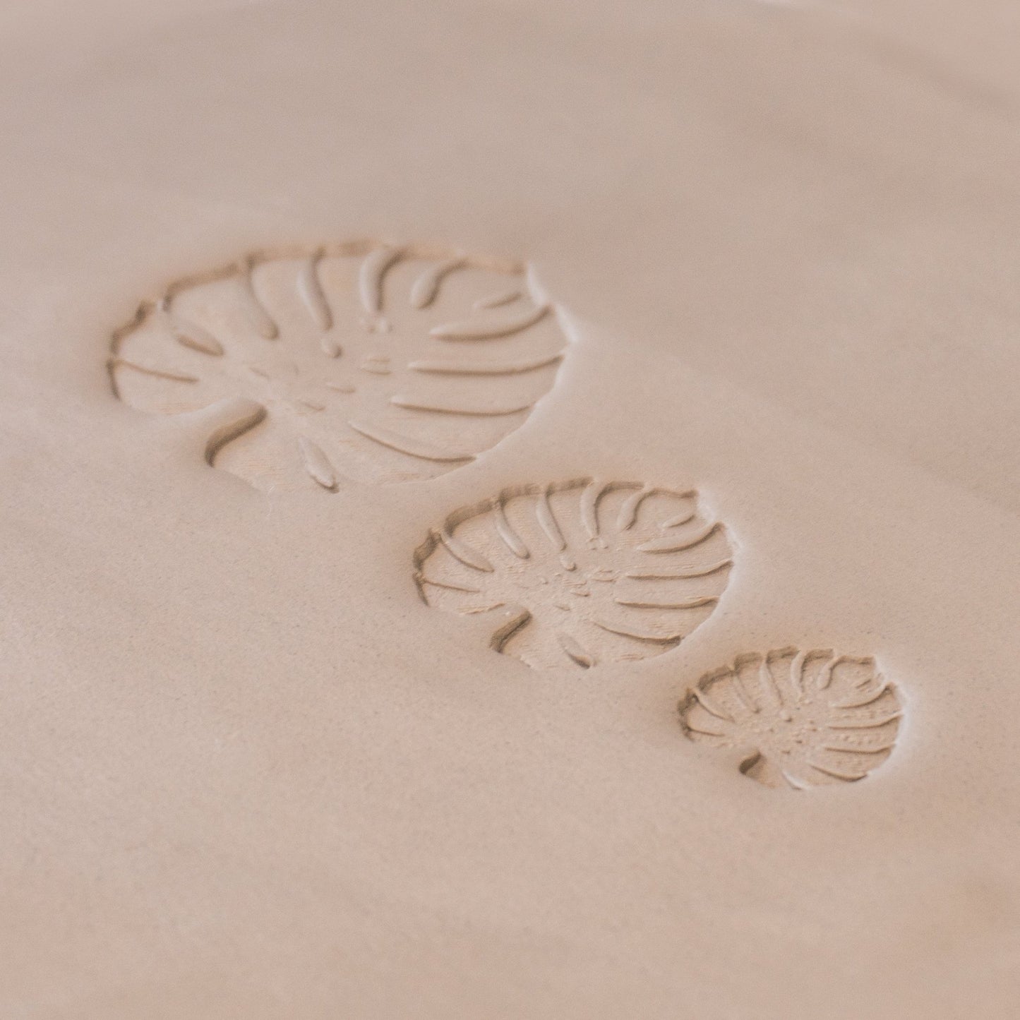 Monstera Leaf Stamps - 3 Styles & Sizes - CraftSource Market: Craft Supplies & Kits Stamps