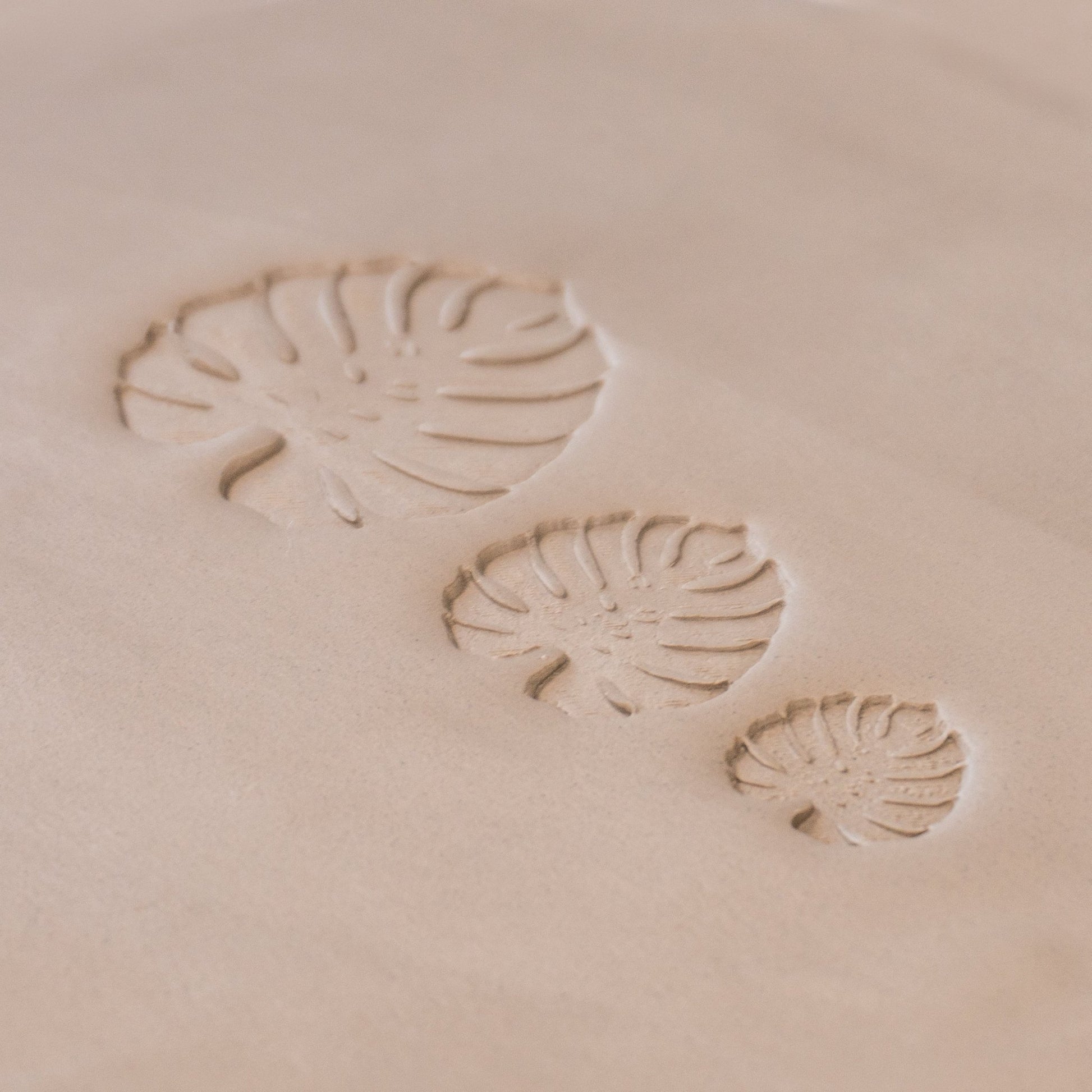 Monstera Leaf Stamps - 3 Styles & Sizes - CraftSource Market: Craft Supplies & Kits Stamps