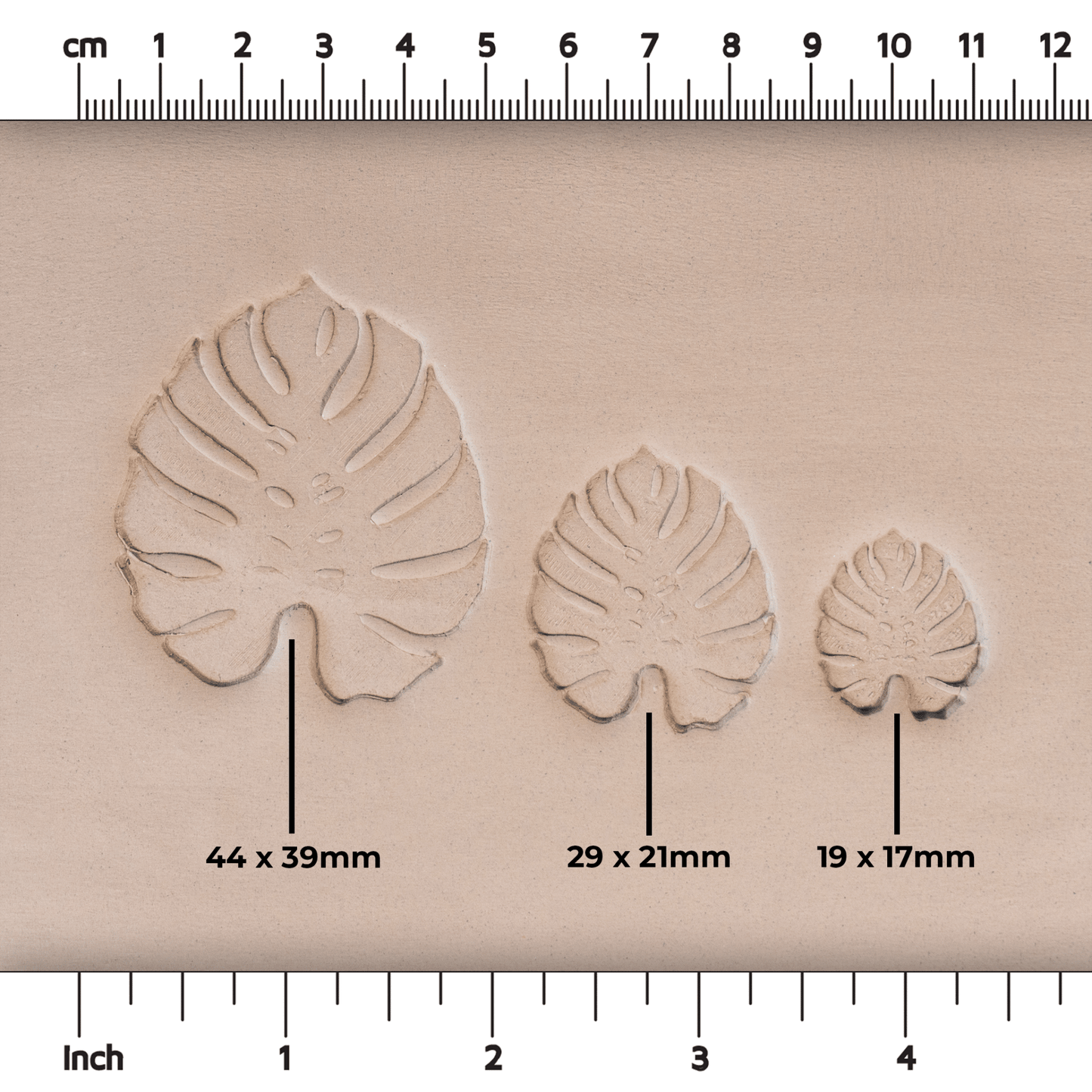 Monstera Leaf Stamps - 3 Styles & Sizes - CraftSource Market: Craft Supplies & Kits Stamps