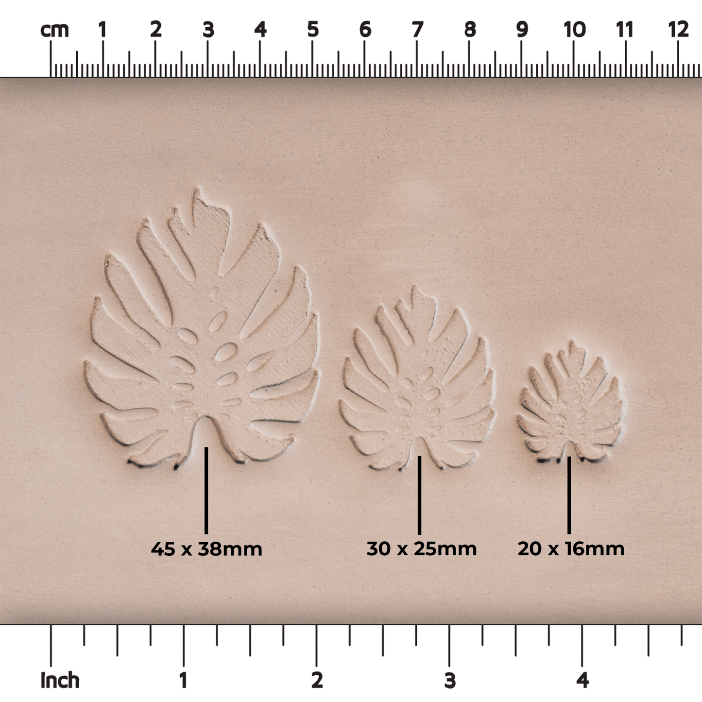 Monstera Leaf Stamps - 3 Styles & Sizes - CraftSource Market: Craft Supplies & Kits Stamps