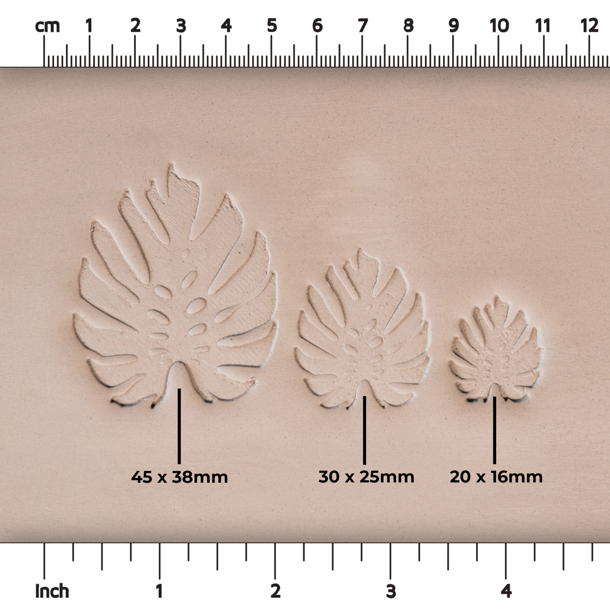 Monstera Leaf Stamps - 3 Styles & Sizes - CraftSource Market: Craft Supplies & Kits Stamps