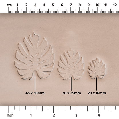 Monstera Leaf Stamps - 3 Styles & Sizes - CraftSource Market: Craft Supplies & Kits Stamps
