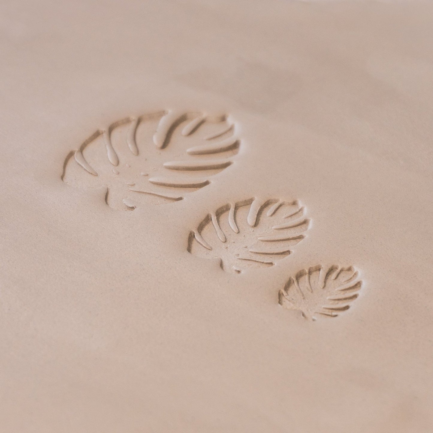 Monstera Leaf Stamps - 3 Styles & Sizes - CraftSource Market: Craft Supplies & Kits Stamps