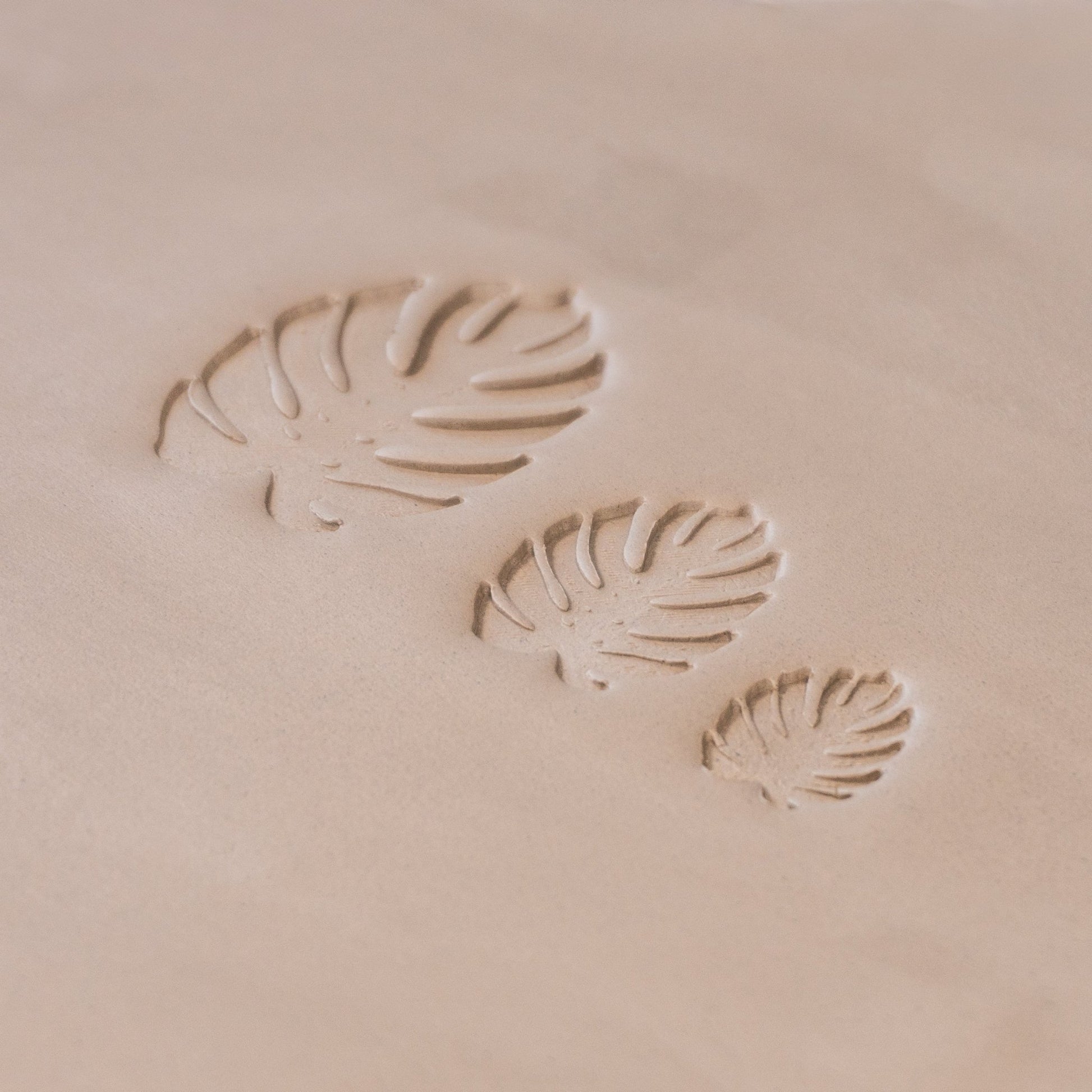 Monstera Leaf Stamps - 3 Styles & Sizes - CraftSource Market: Craft Supplies & Kits Stamps