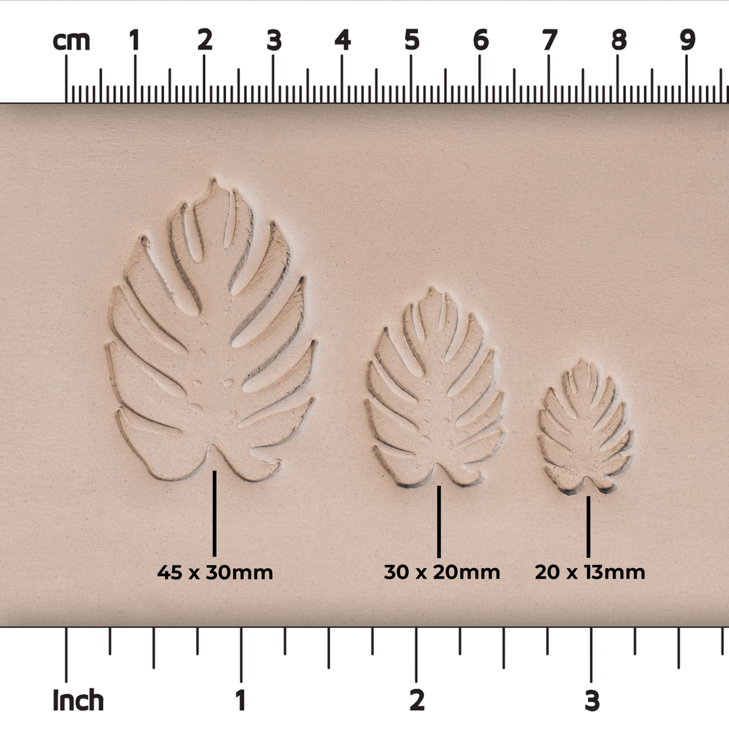 Monstera Leaf Stamps - 3 Styles & Sizes - CraftSource Market: Craft Supplies & Kits Stamps