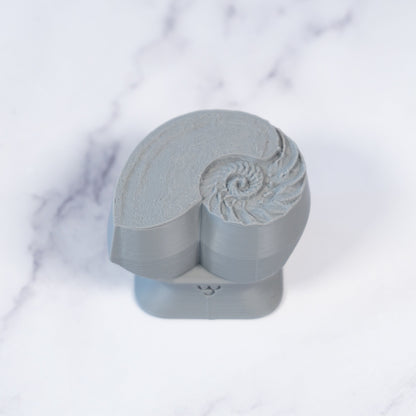 Nautilus Shell Stamp - Photo Textured - Style #1