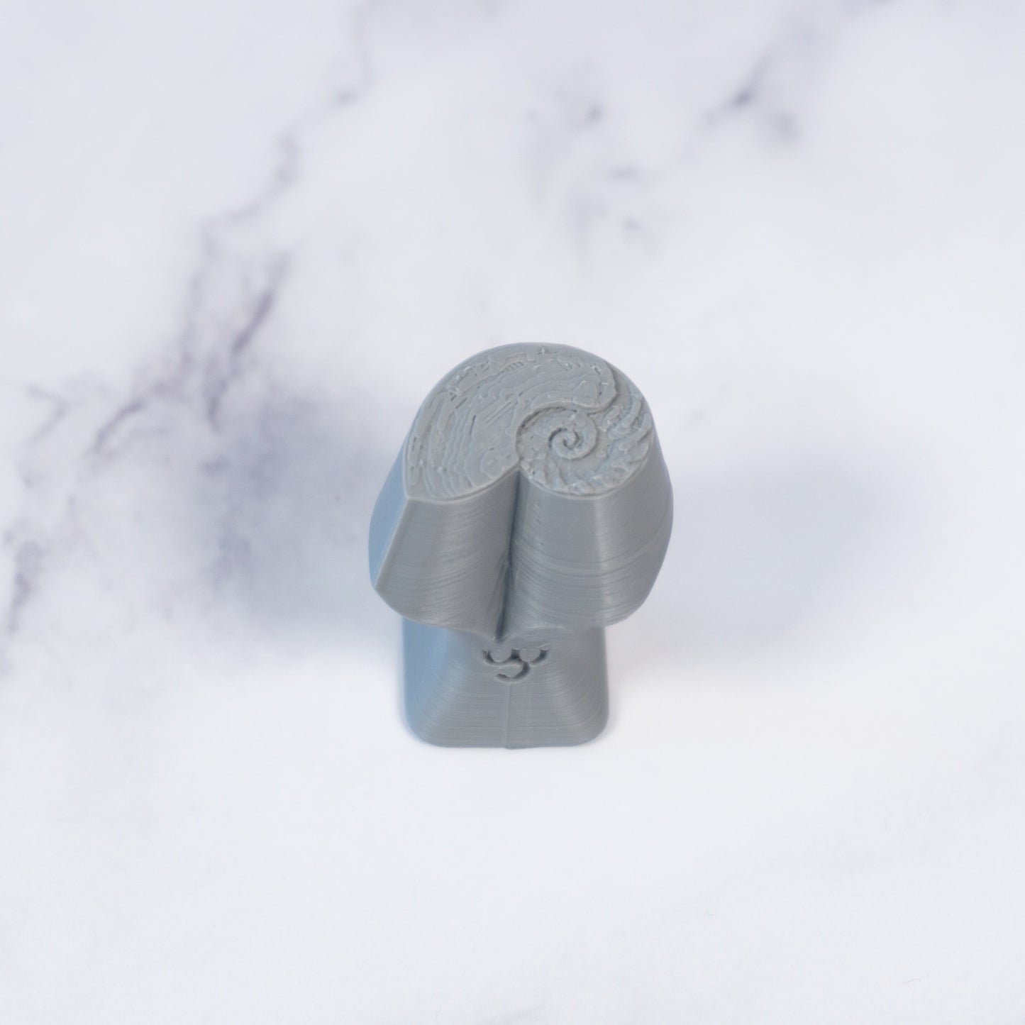 Nautilus Shell Stamp - Photo Textured - Style #1