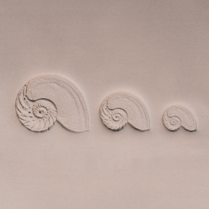 Nautilus Shell Stamp - Photo Textured - Style #1