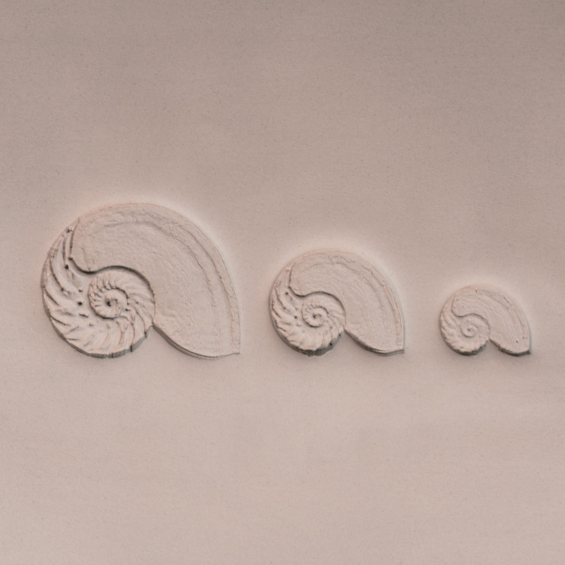 Nautilus Shell Stamp - Photo Textured - Style 1 - CraftSource Market: Craft Supplies & Kits Stamps