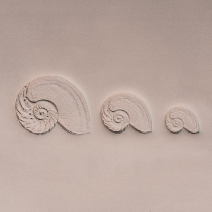 Nautilus Shell Stamp - Photo Textured - Style 1 - CraftSource Market: Craft Supplies & Kits Stamps