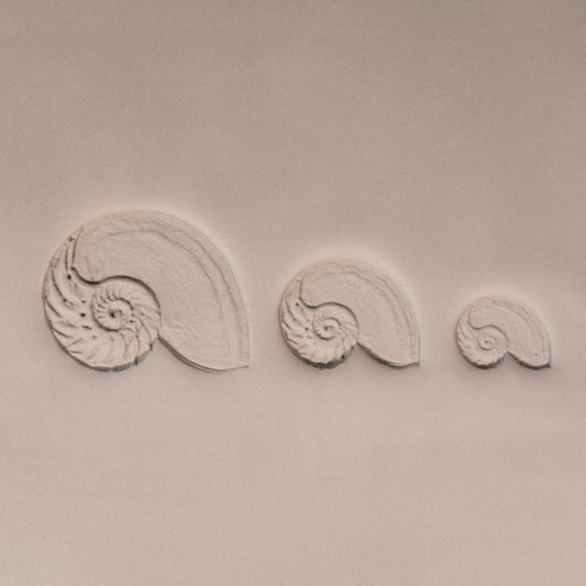Nautilus Shell Stamp - Photo Textured - Style 1 - CraftSource Market: Craft Supplies & Kits Stamps