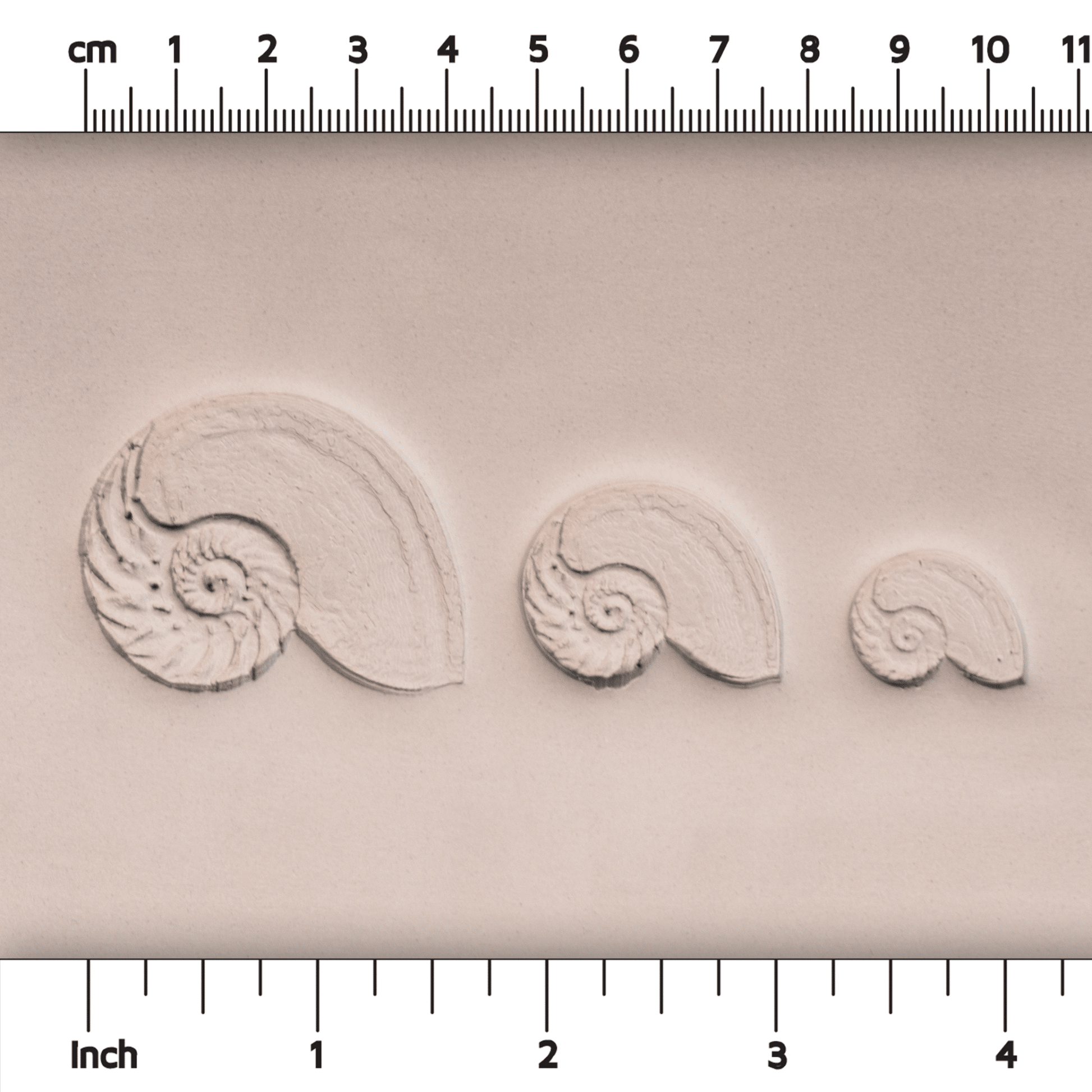 Nautilus Shell Stamp - Photo Textured - Style 1 - CraftSource Market: Craft Supplies & Kits Stamps