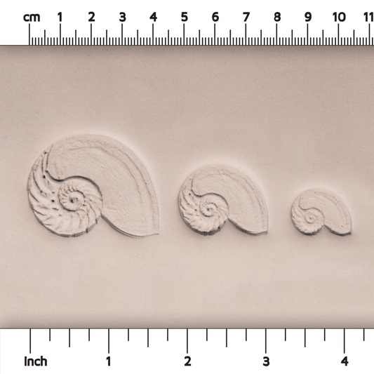 Nautilus Shell Stamp - Photo Textured - Style 1 - CraftSource Market: Craft Supplies & Kits Stamps