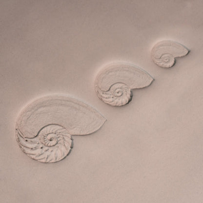 Nautilus Shell Stamp - Photo Textured - Style 1 - CraftSource Market: Craft Supplies & Kits Stamps