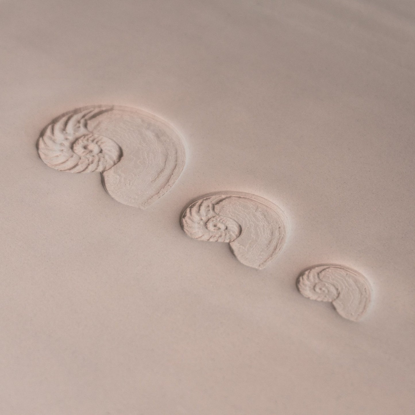 Nautilus Shell Stamp - Photo Textured - Style 1 - CraftSource Market: Craft Supplies & Kits Stamps